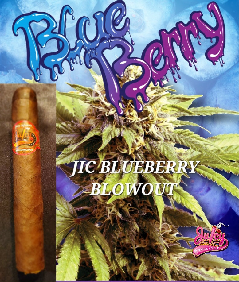 JIC 420 Blueberry Blowout